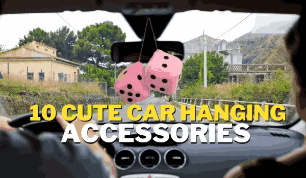 10 Cute Car Hanging Accessories You Need cute car hanging accessories,