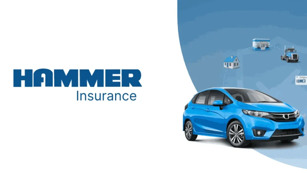 Hammer Insurance, Insurance